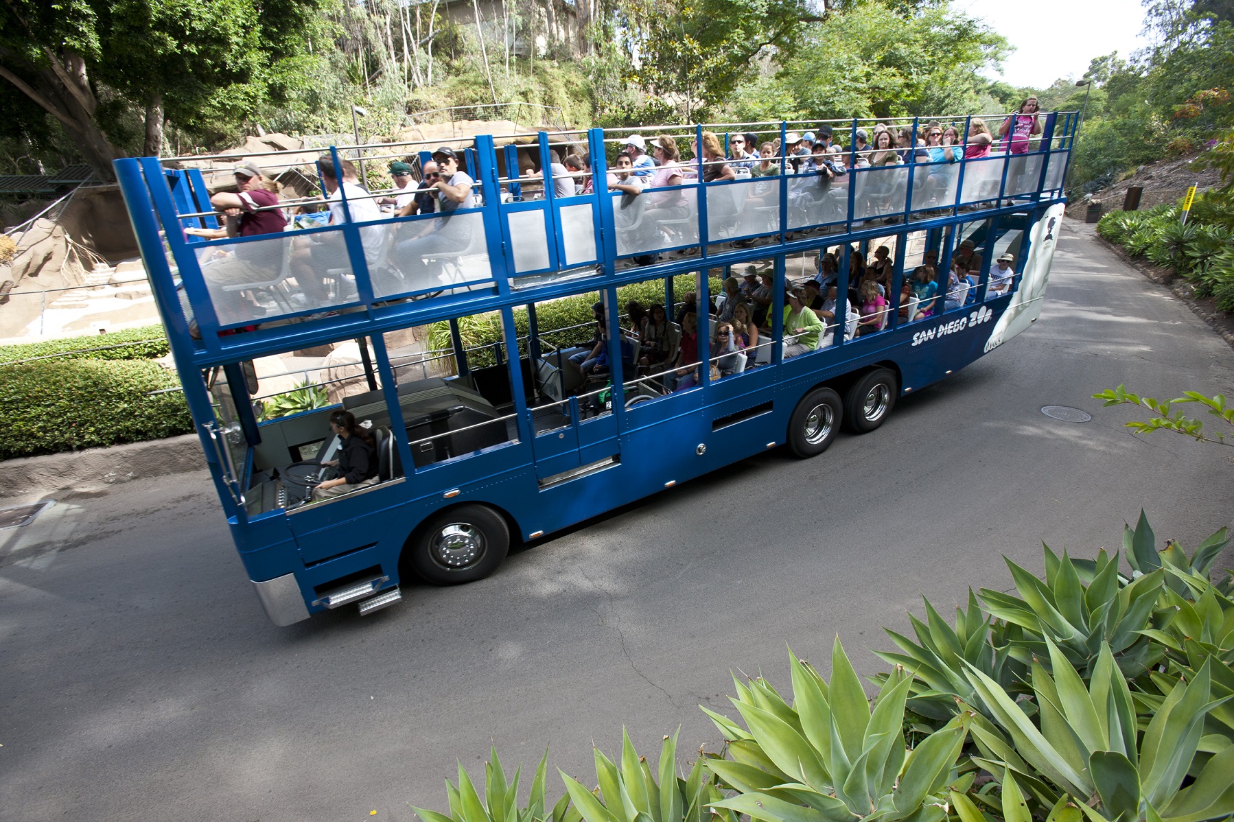 Zoo guided bus tour