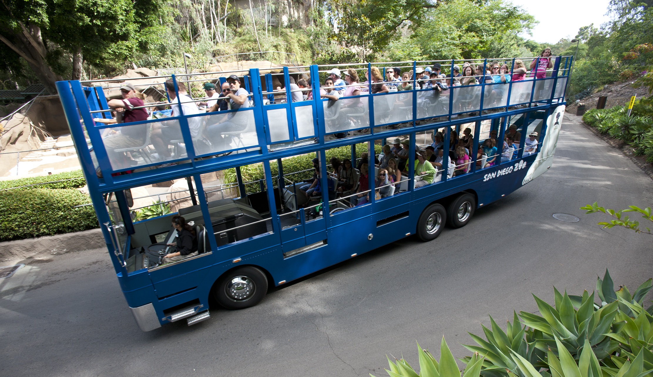 Zoo Bus Tour