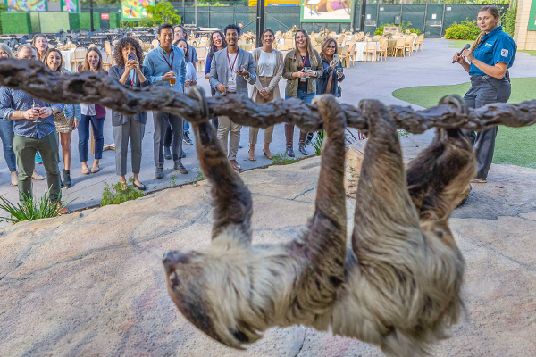 wildlife presentation