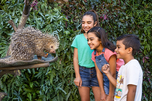 kids watching wildlife presentation