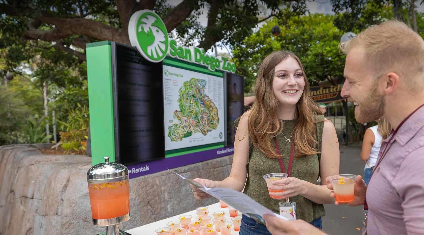 corporate group looking at map with alder tree