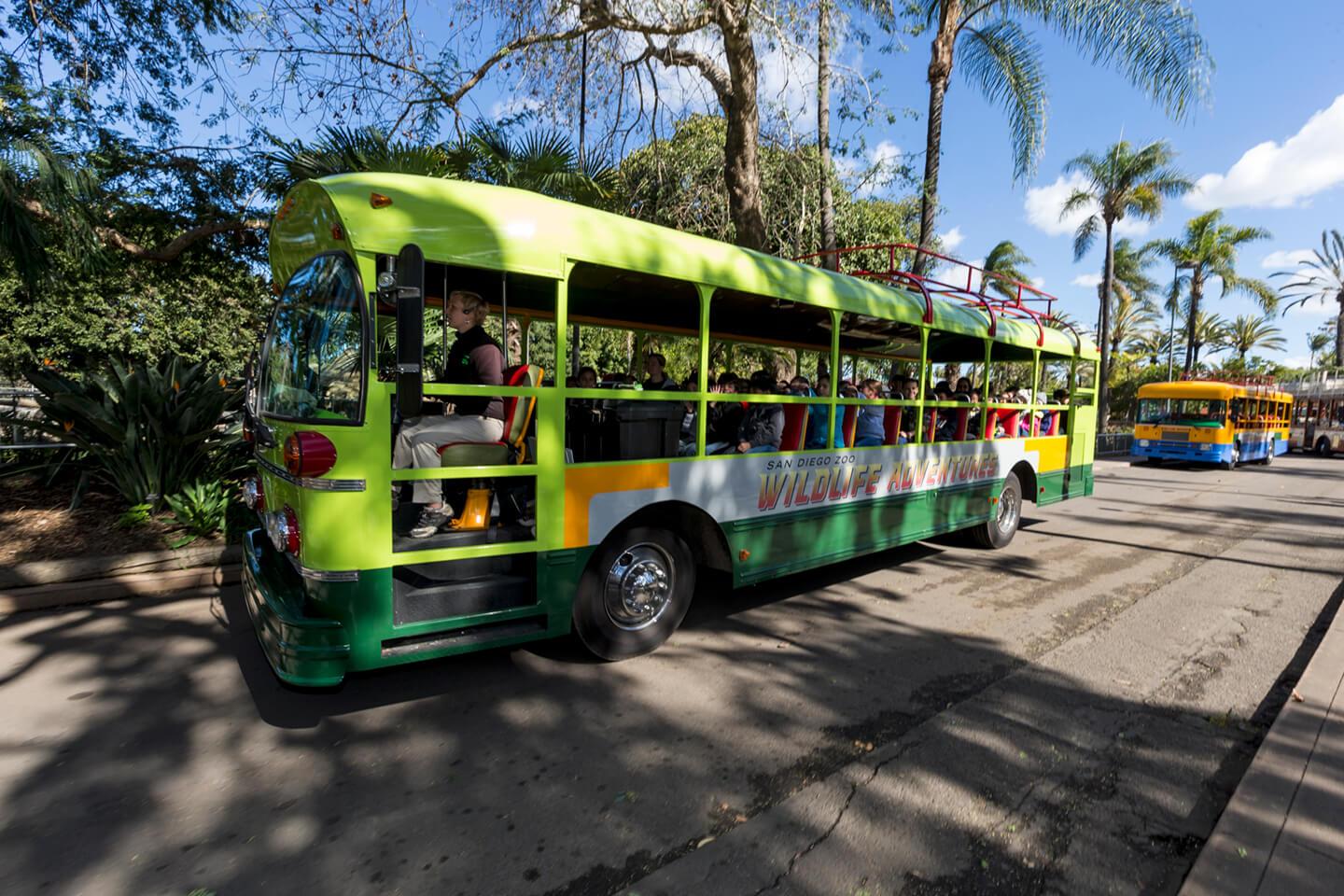 Single bus tour