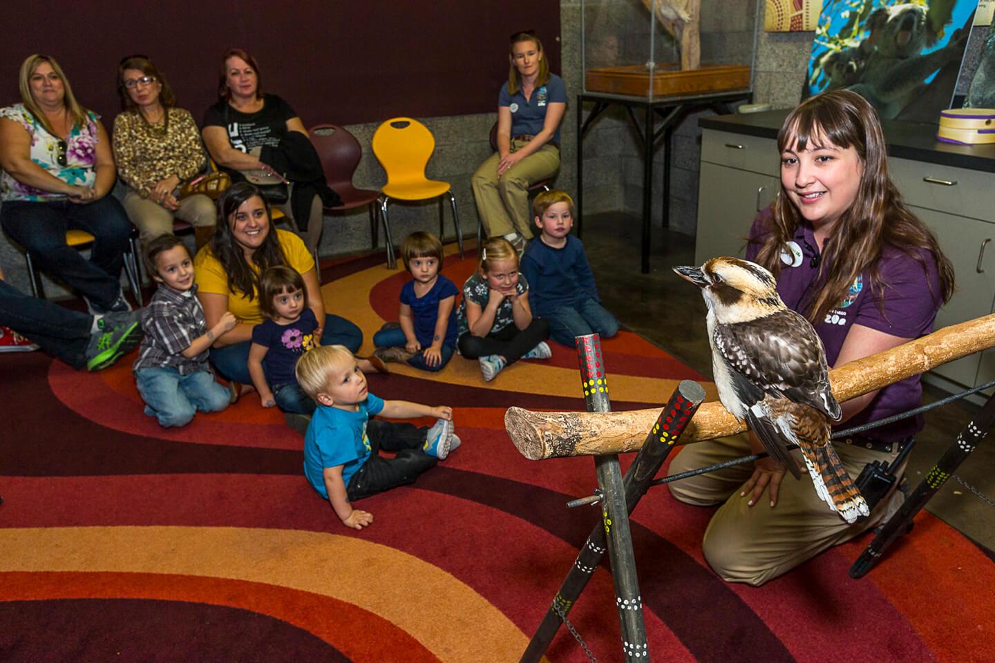 kookabura